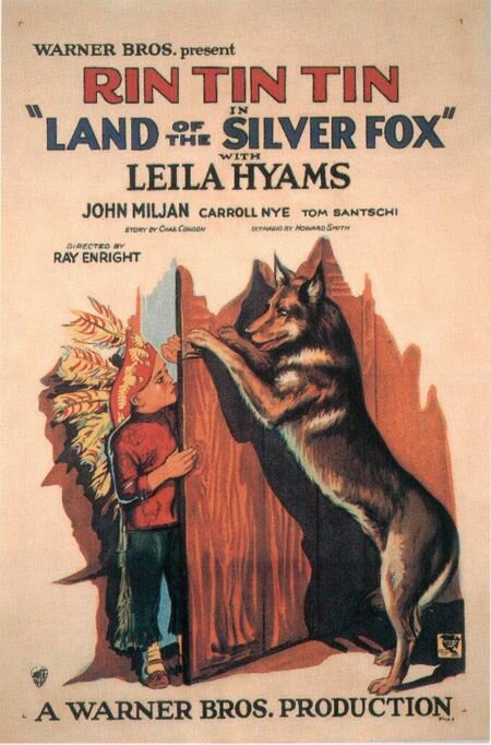 Land of the Silver Fox (1928)