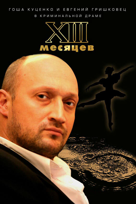 Тринадцать месяцев (2008)