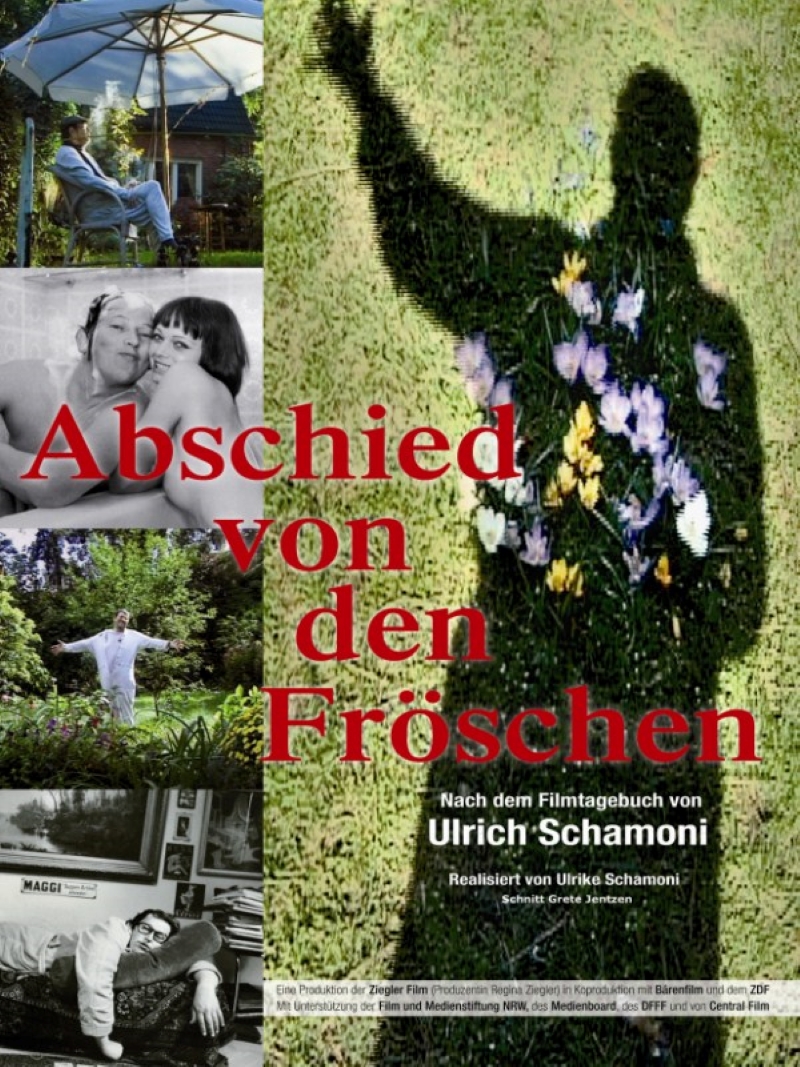 Abschied von den Fröschen (2011)